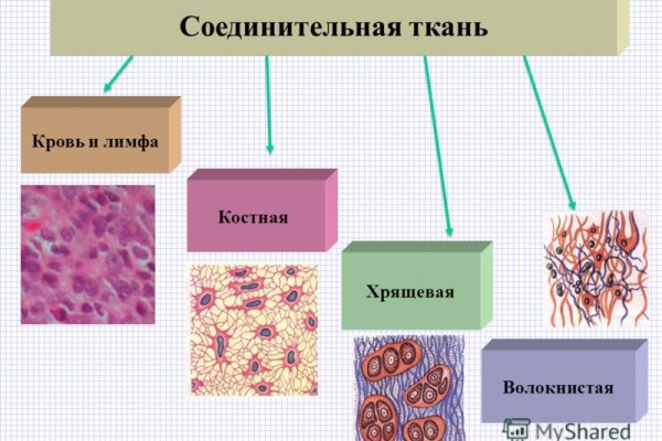 Где найти ссылку кракен