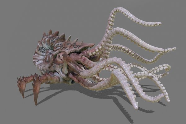 2kr kraken