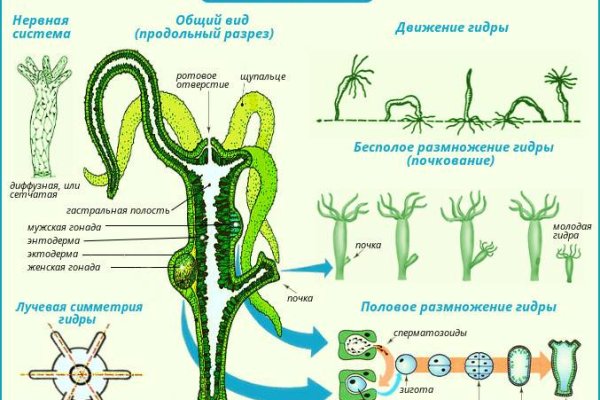 Кракен ссылка тор kraken014 com