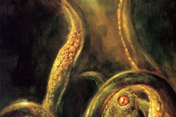 Кракен сайт ссылка kraken dark link