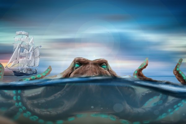Kraken 11at