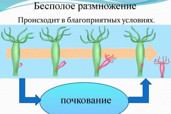 Кракен маркетплейс что продают